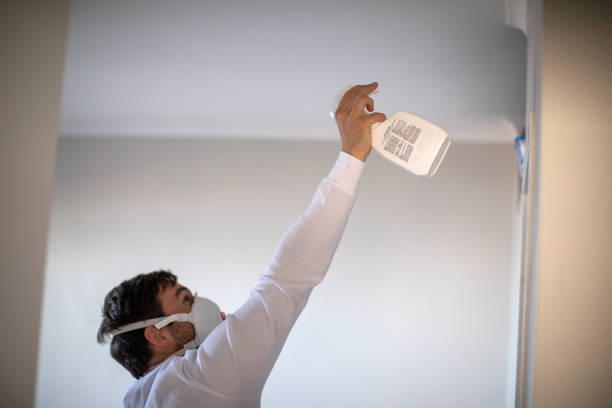 Best DIY Mold Remediation Support Services in Lisle, IL